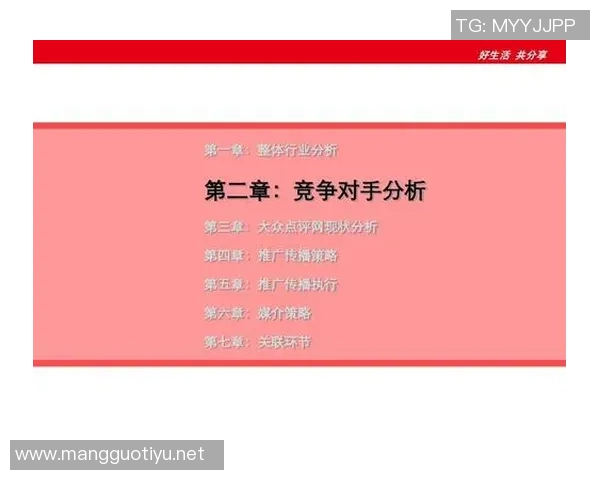 广州乒乓球队在精英赛中的技术表现分析与点评探讨