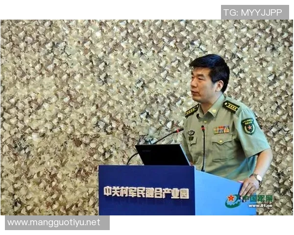 深度探讨杨静的网球人生与职业发展之路