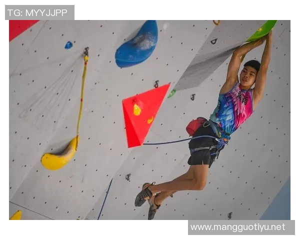 探秘西安攀岩队的区域防守战术与运动攀岩的深度结合