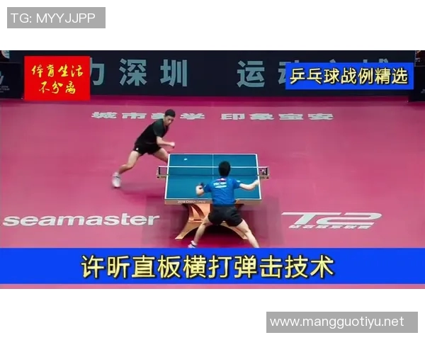 运动数据乒乓球战术解析深入探讨北京乒乓球队的阵地战体系与实战应用