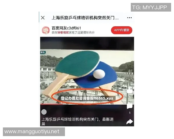 2026年3月份新闻从零基础到高手之路乒乓球技巧与心态全面提升指南 2026年3月份新闻从零基础到高手之路乒乓球技巧与心态全面提升指南